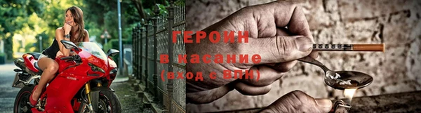 гидра Белокуриха