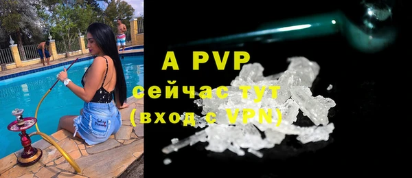 гидра Белокуриха